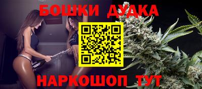 МДПВ Боровичи