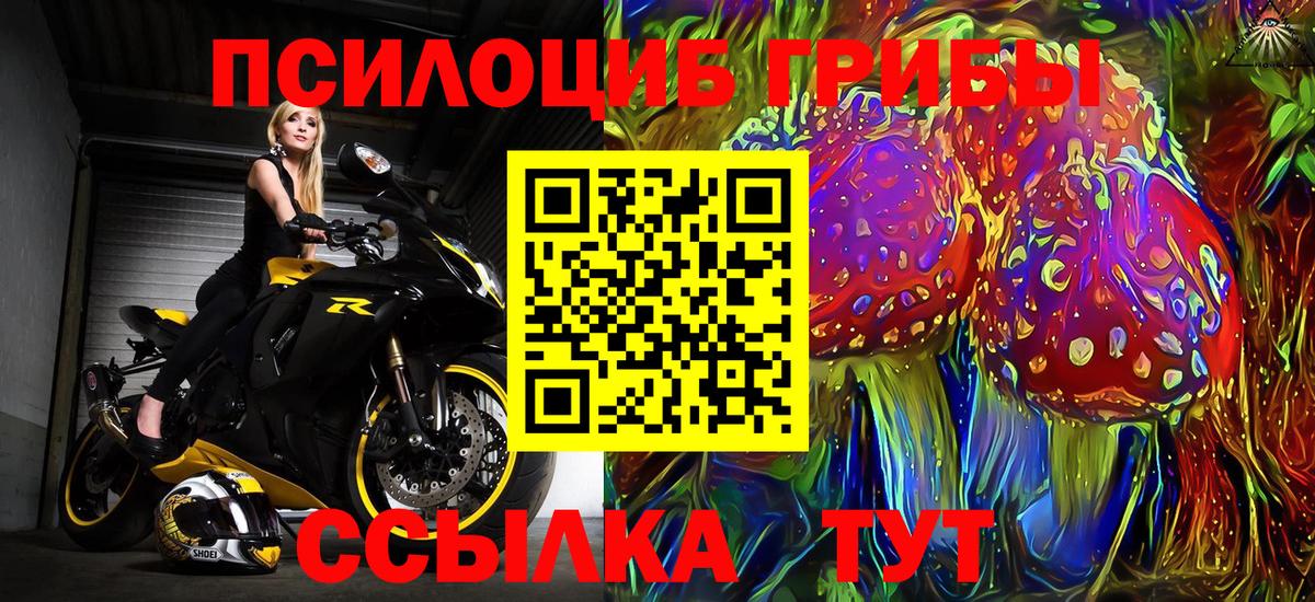 Псилоцибиновые грибы мухоморы  Псилоцибиновые грибы Magic Shrooms  Вход с VPN  Ачхой-Мартан 